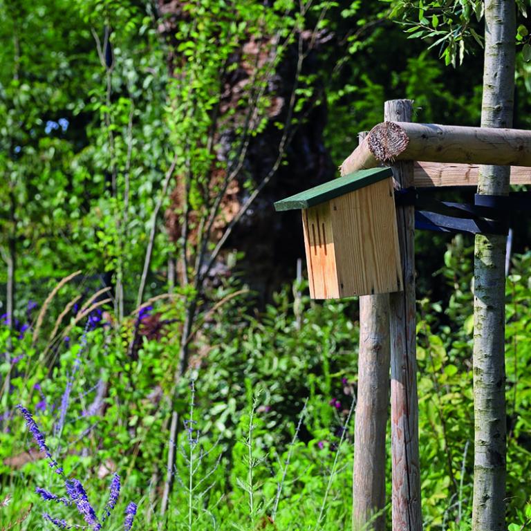 Park van Lille: groene onthaastingsplek in de dorpskern